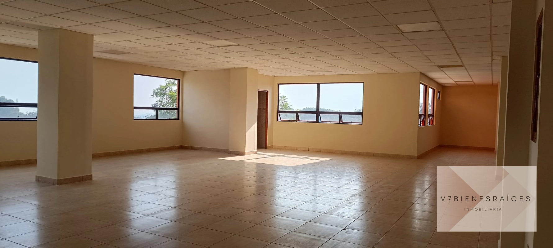 AMPLIAS OFICINAS EN RENTA - 5
