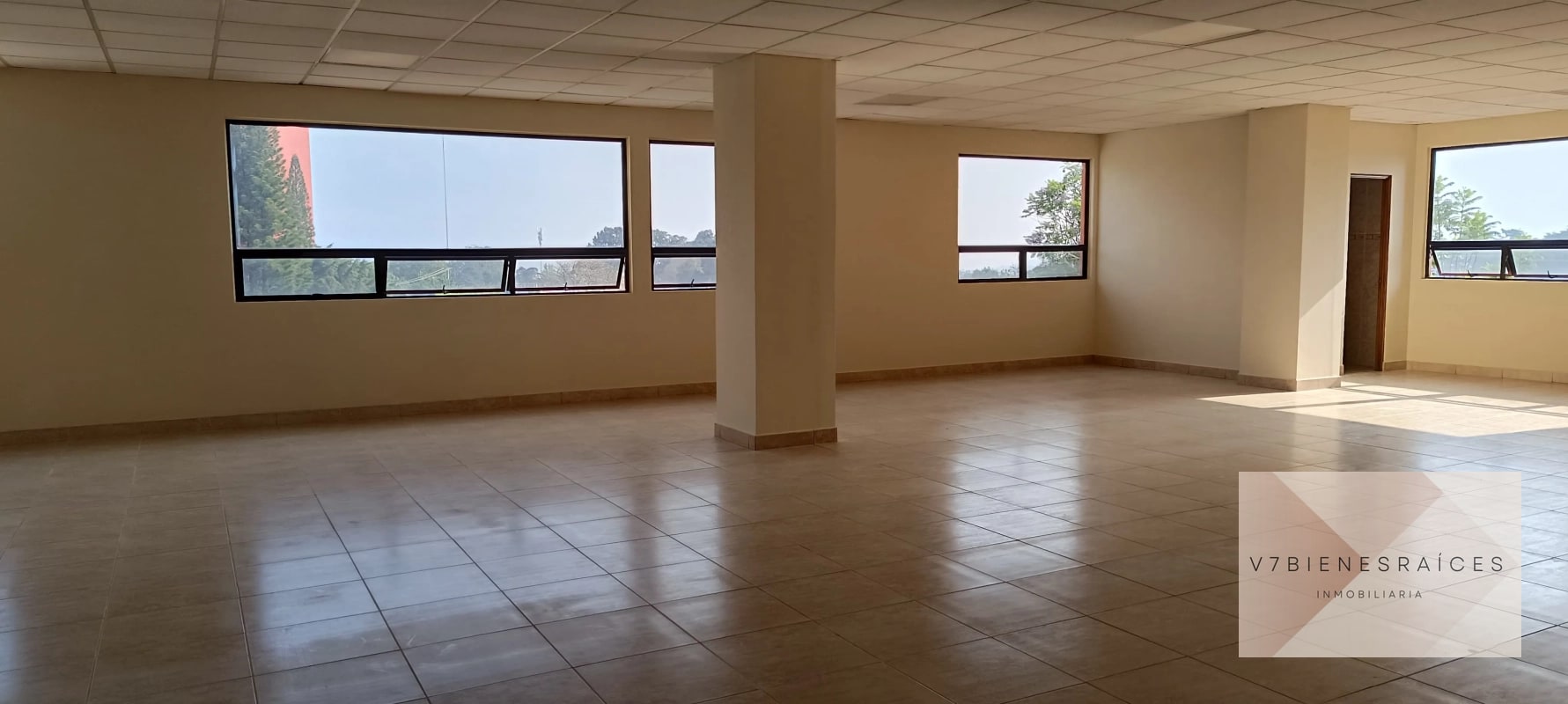 AMPLIAS OFICINAS EN RENTA - 4
