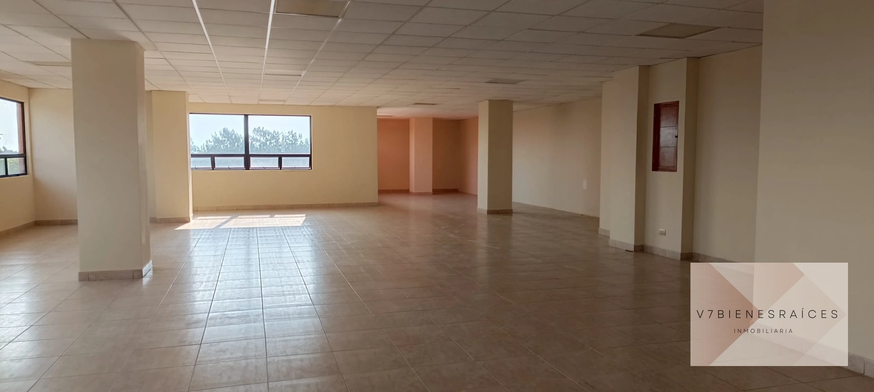 AMPLIAS OFICINAS EN RENTA - 3