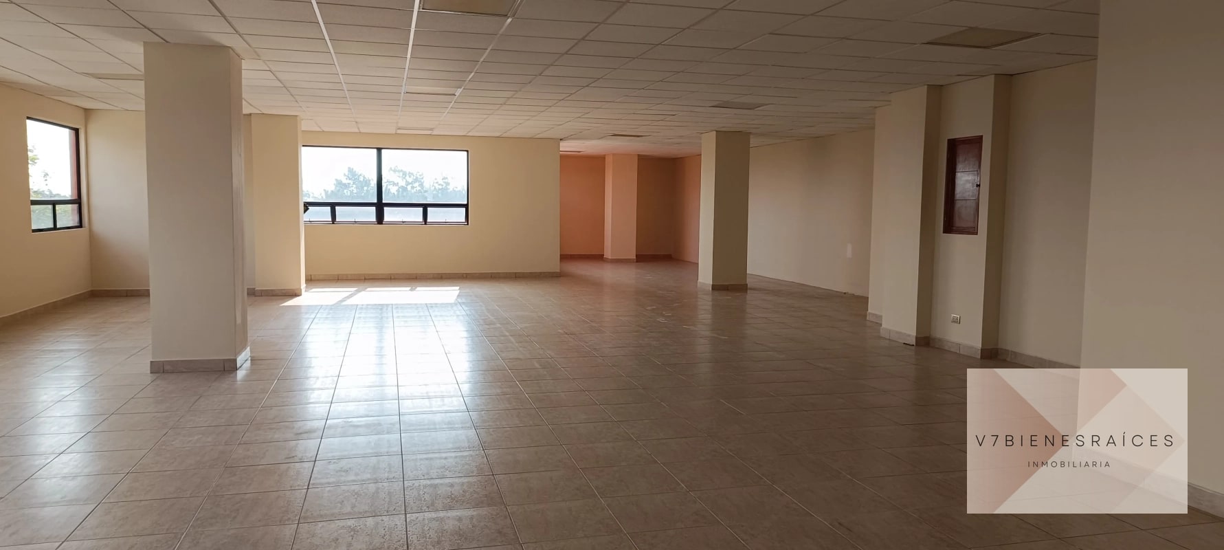 AMPLIAS OFICINAS EN RENTA - 2