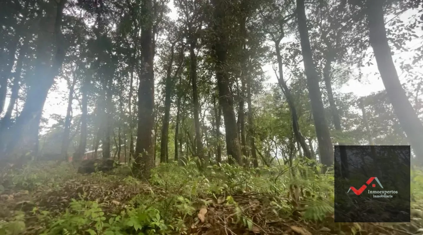 TERRENO EN VENTA   SAN LUCAS, SACATEPÉQUEZ - 6