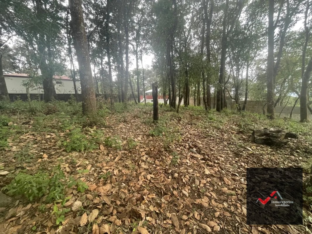 TERRENO EN VENTA   SAN LUCAS, SACATEPÉQUEZ - 4
