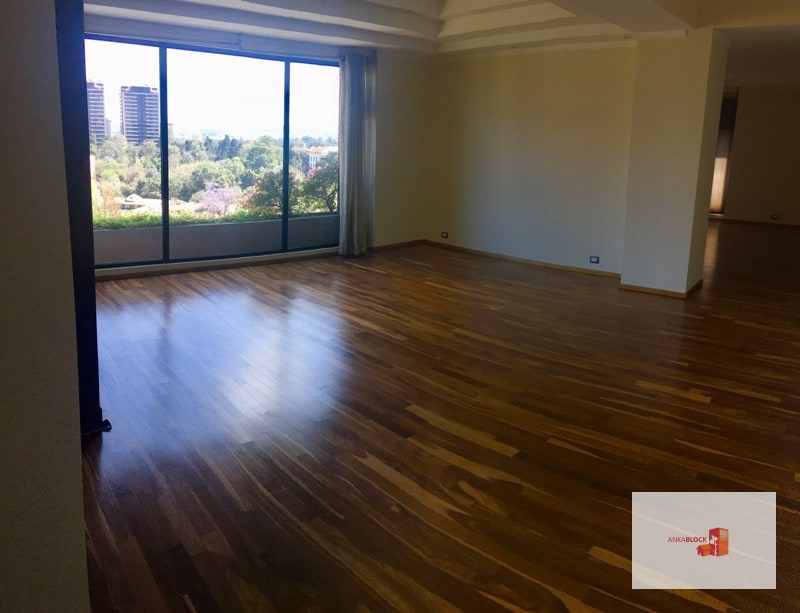 Penthouse amplio en renta - 1