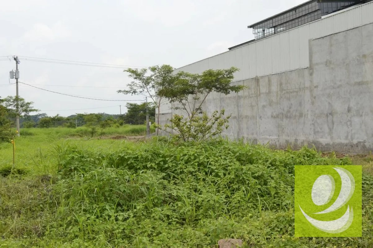 VENDO TERRENO INDUSTRIAL ESCUINTLA EN COMPLEJO INDUSTRIAL SEGURO - 2