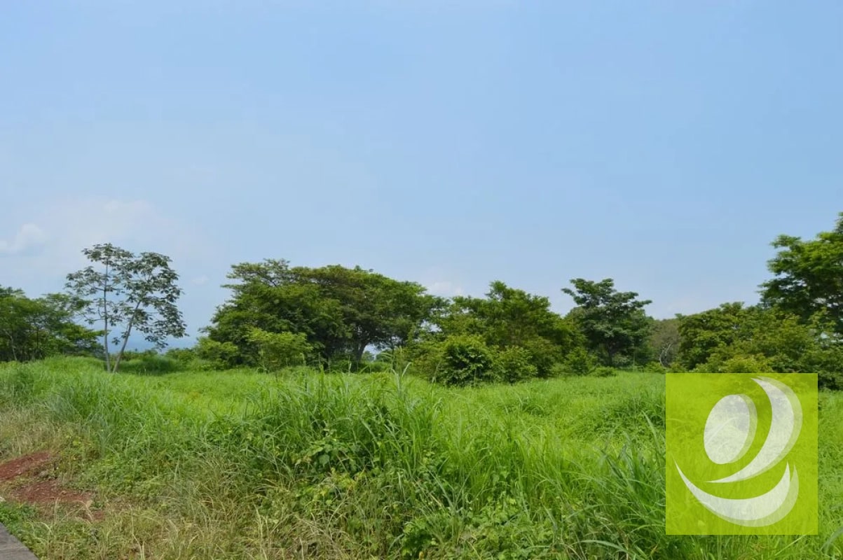 Terreno Industrial en Venta Escuintla - 3