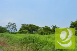 Terreno Industrial en Venta Escuintla — Terreno en Venta en Escuintla, Escuintla — miniatura 4 de 4