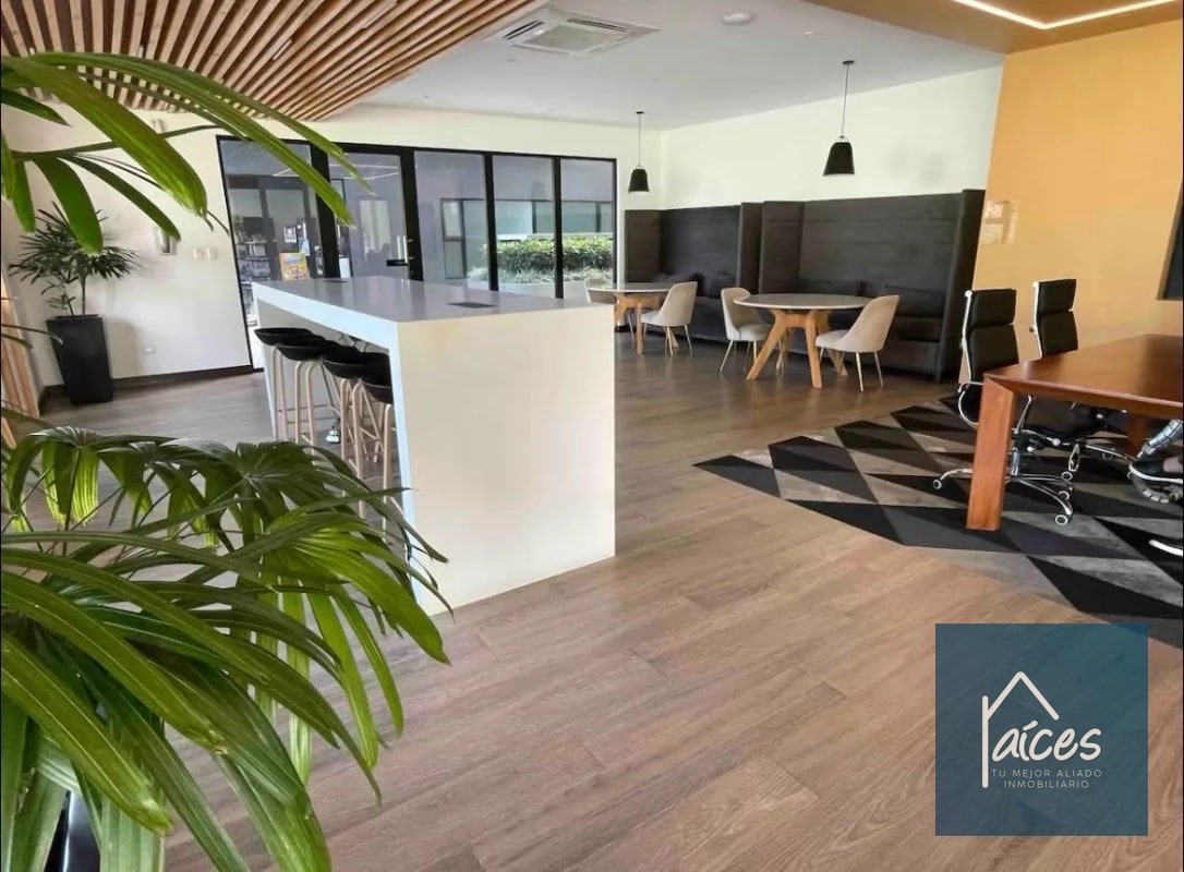 Apartamento amueblado en renta Parque 15 (D) - 14