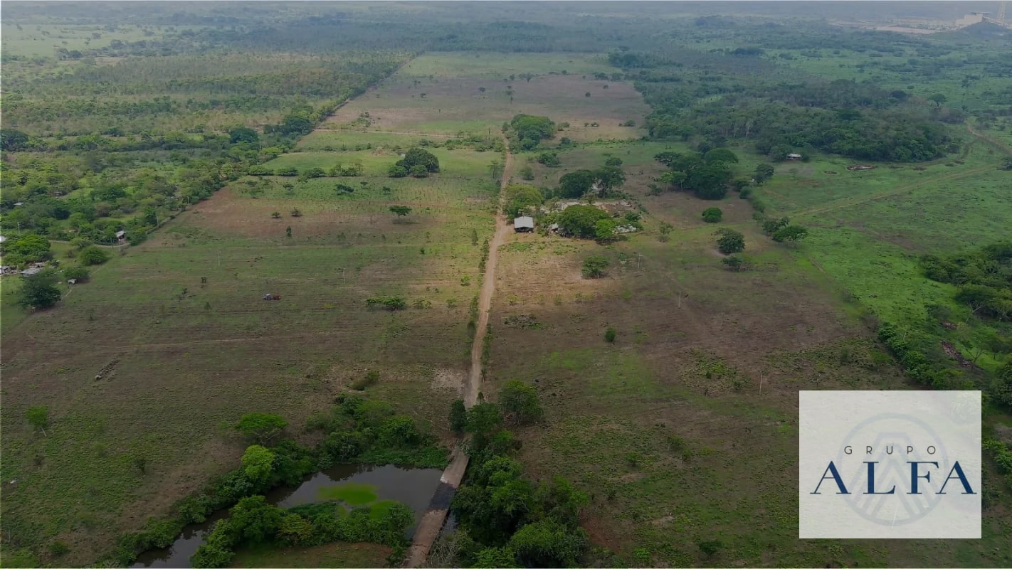 FINCA DE MADERA EN VENTA- BOSQUE CERTIFICADO DE ALTO VALOR - 8