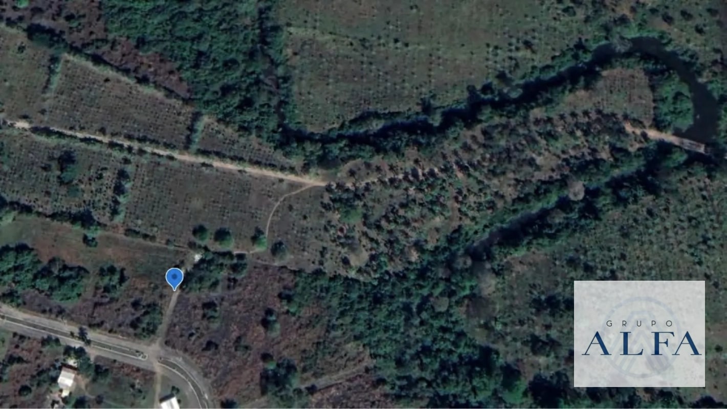 FINCA DE MADERA EN VENTA- BOSQUE CERTIFICADO DE ALTO VALOR - 7