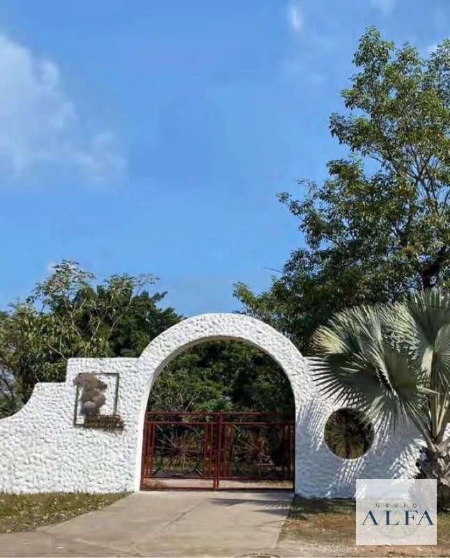FINCA DE MADERA EN VENTA- BOSQUE CERTIFICADO DE ALTO VALOR - 5