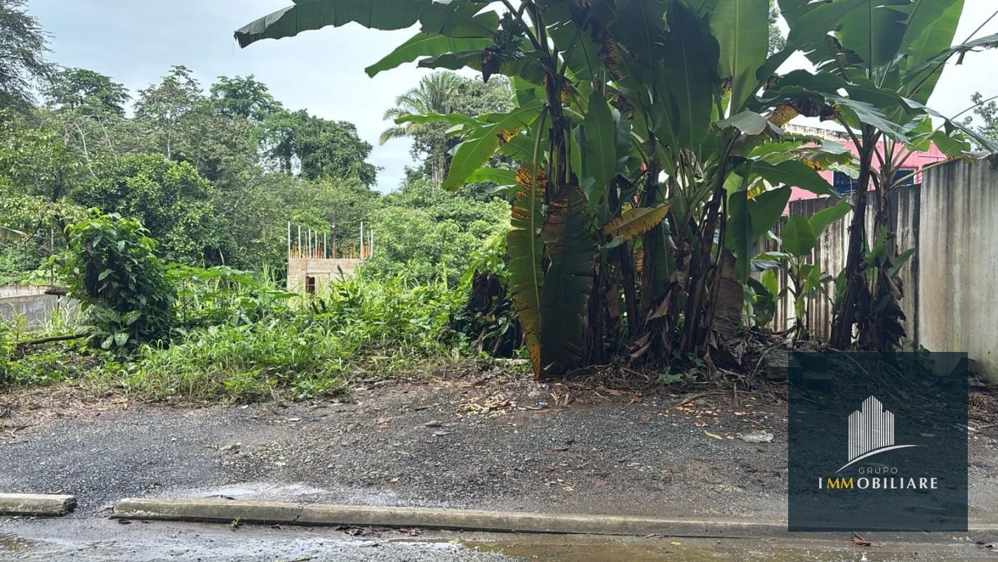 Terreno en venta Puerto Barrios Izabal - 4