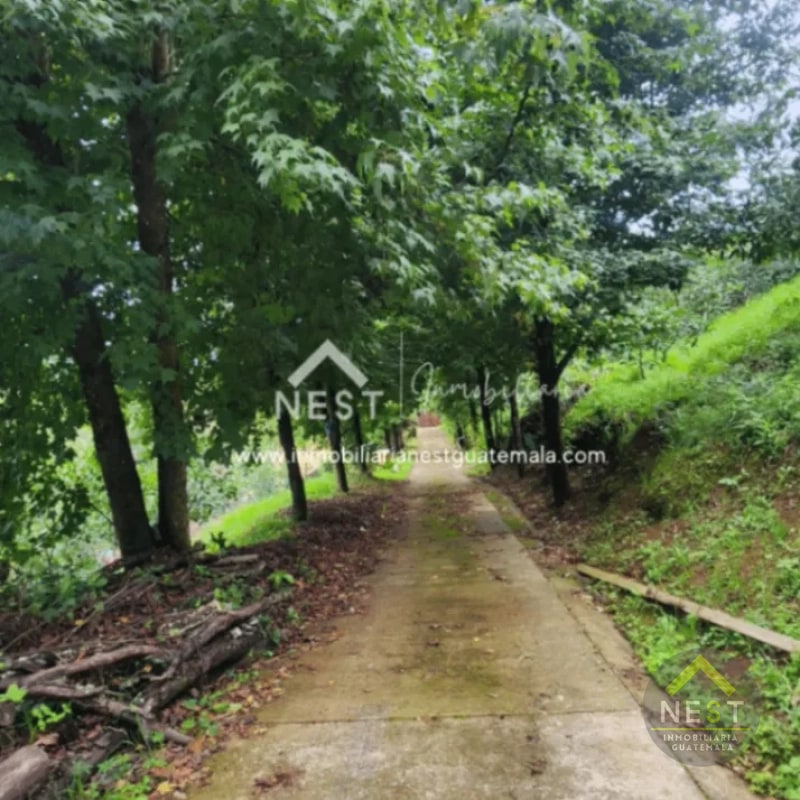 Terreno de 1.5 manzanas en VENTA | Las Lomas, Santo Tomas Milpas Altas - 15