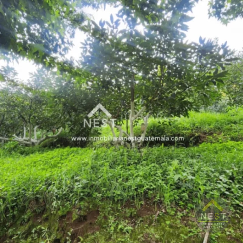 Terreno de 1.5 manzanas en VENTA | Las Lomas, Santo Tomas Milpas Altas - 3