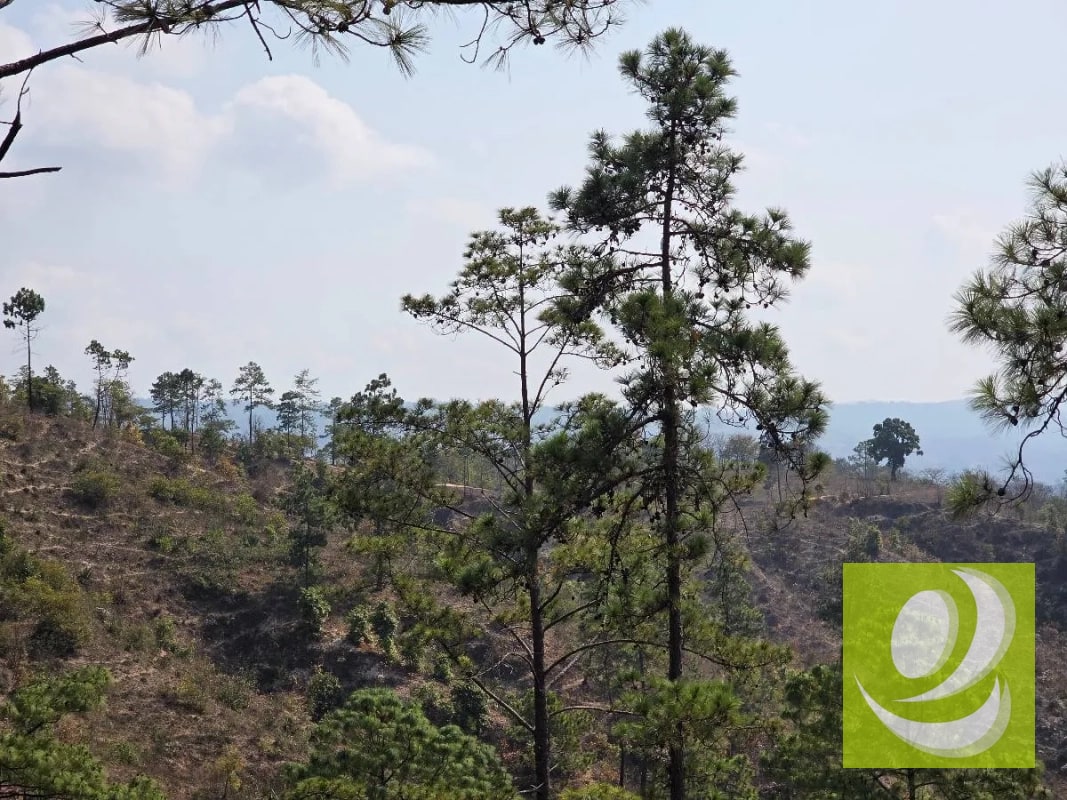 FINCA EN VENTA EN SAN RAYMUNDO - 1