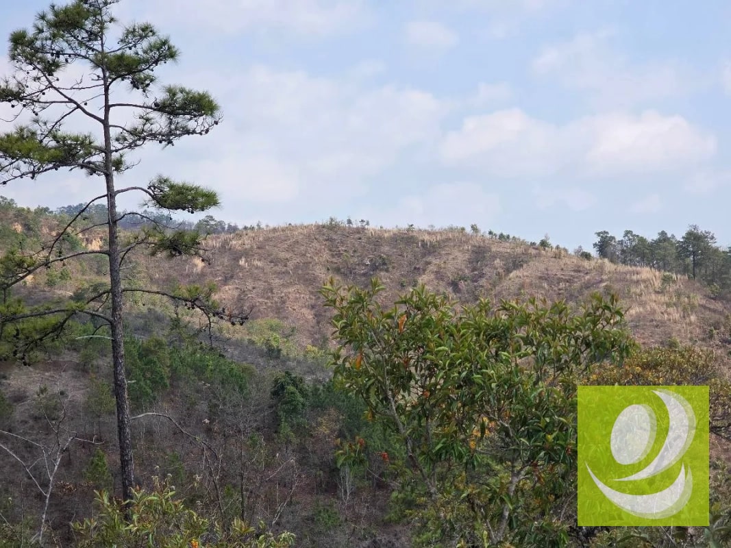 FINCA EN VENTA EN SAN RAYMUNDO - 3