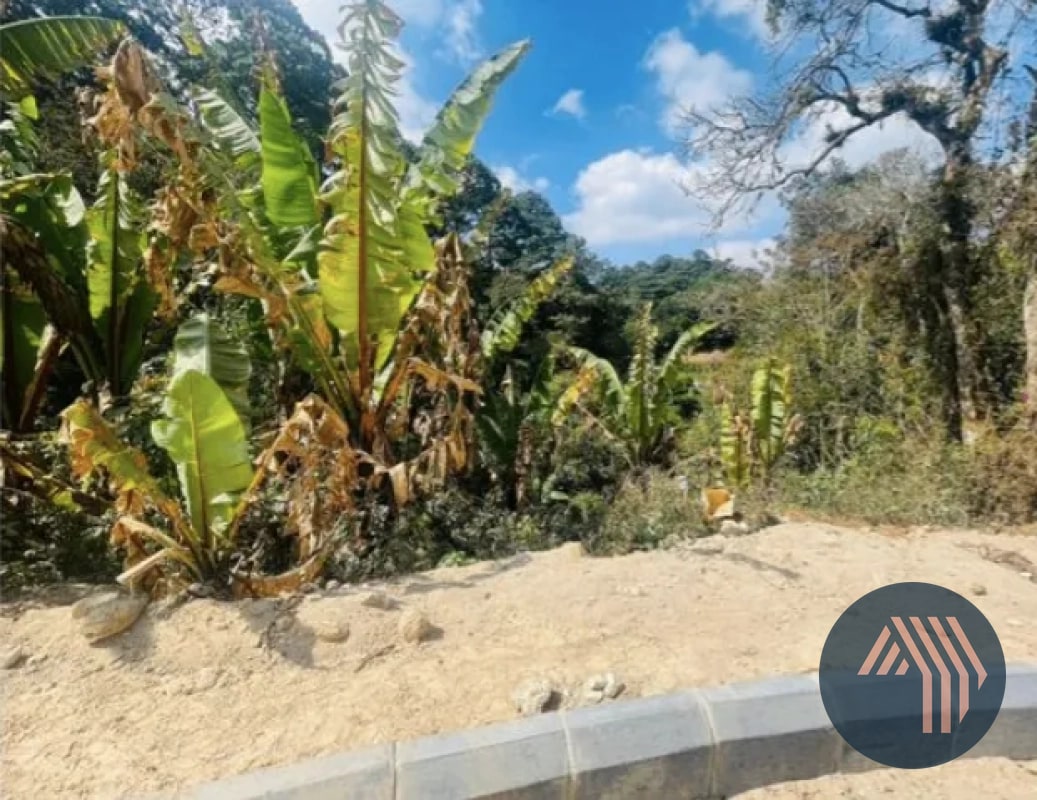 VENTA DE TERRENOS - SANTA ROSALÍA, KM 12.5 CARRETERA AL SALVADOR - 8