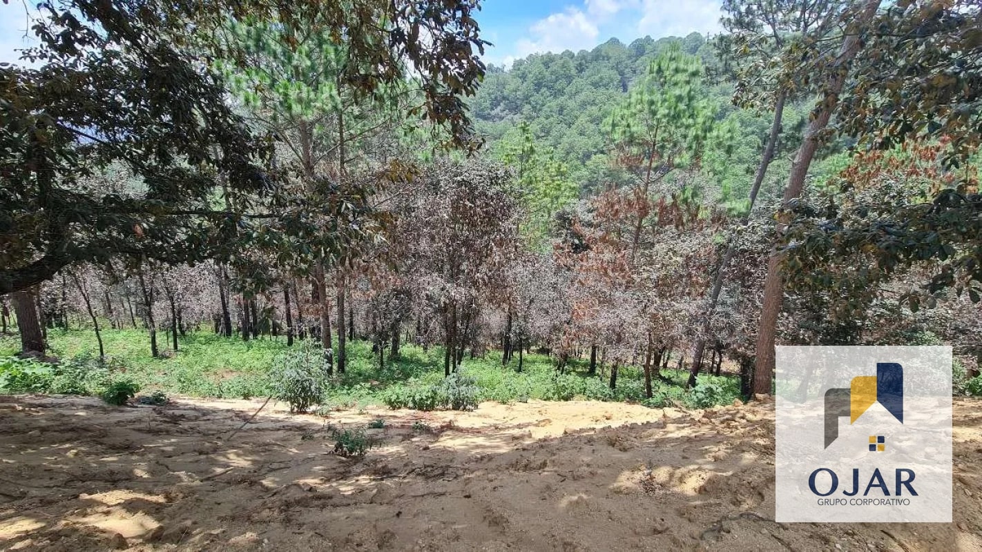 TERRENOS EN VENTA EN SUMPANGO, A 3 MIN DEL CENTRO - 10