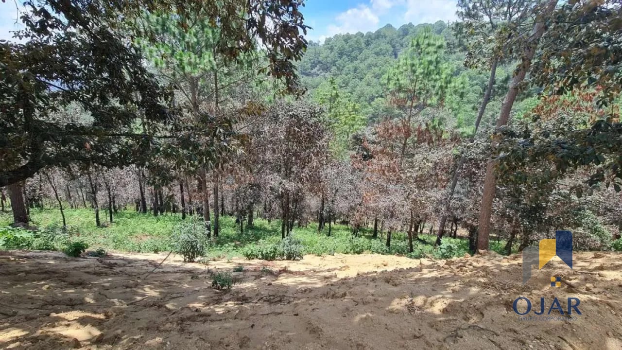 TERRENOS EN VENTA EN SUMPANGO, A 3 MIN DEL CENTRO — Terreno en Venta en San Juan Sacatepéquez, Sacatepéquez — foto 11 de 13