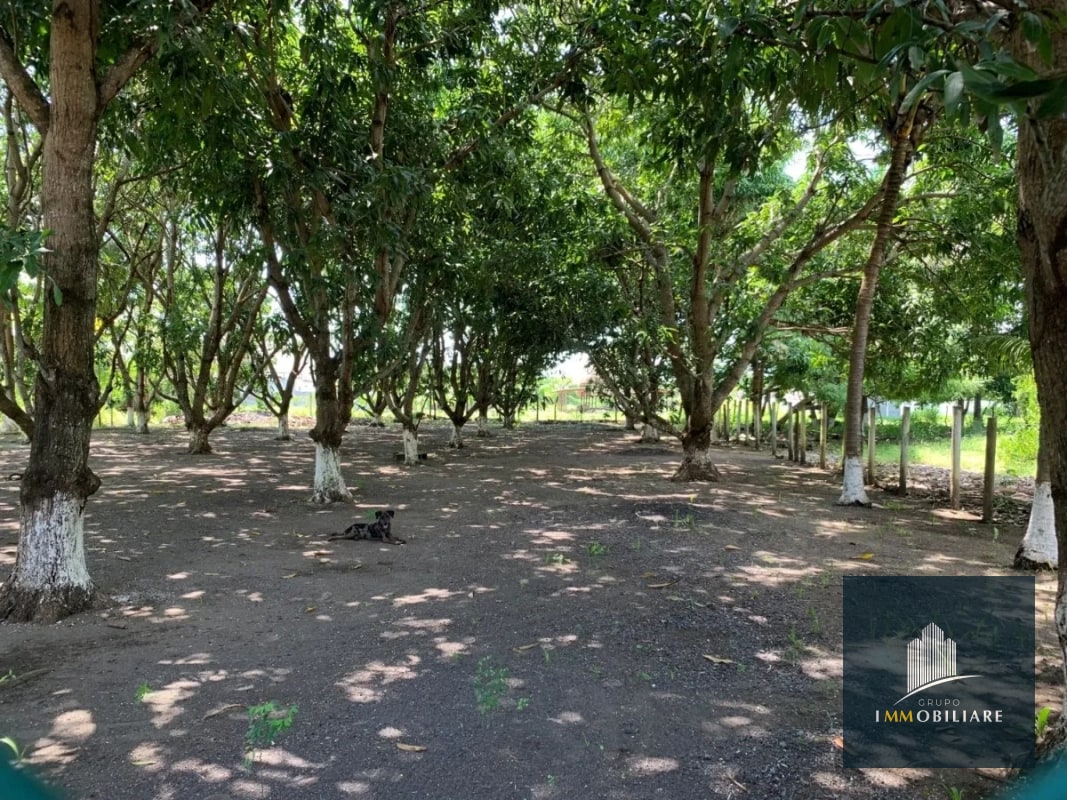 Casa de playa en venta Monterrico Santa Rosa - 2
