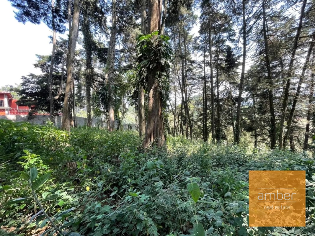 Terreno Km 13.1 CES, Finca el Socorro - 6