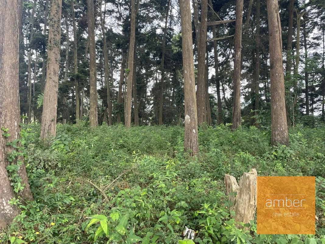 Terreno Km 13.1 CES, Finca el Socorro - 5