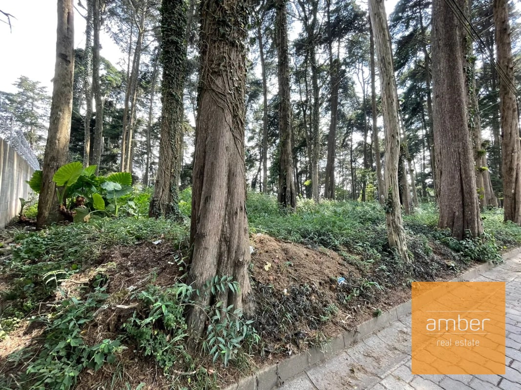 Terreno Km 13.1 CES, Finca el Socorro - 3
