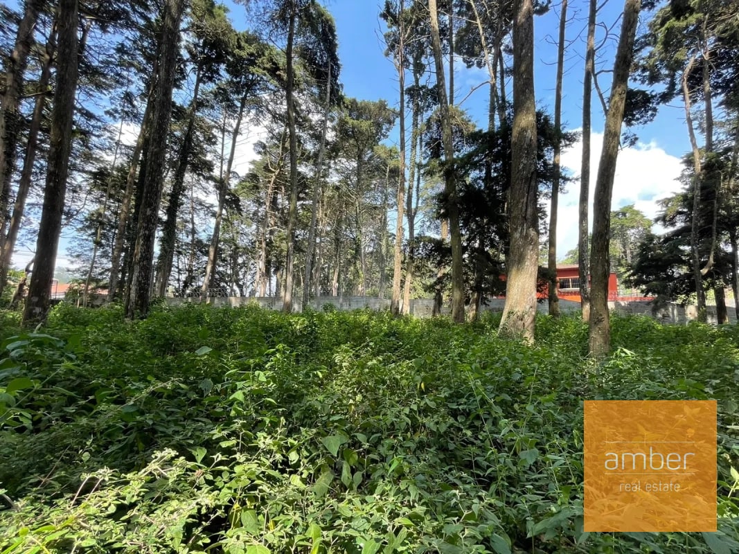 Terreno Km 13.1 CES, Finca el Socorro - 2