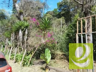 Vendo Finca en San Pedro Sacatepequez — Finca en Venta en San Pedro Sacatepéquez, Sacatepéquez — miniatura 3 de 3
