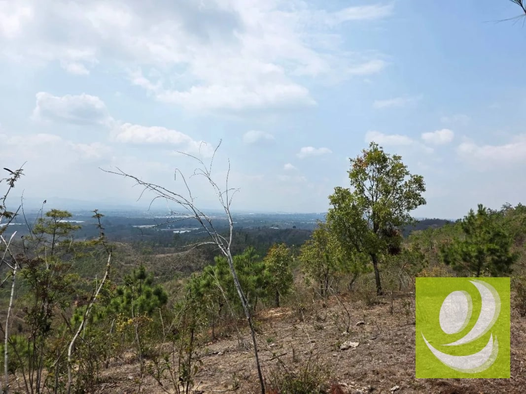 FINCA DE 300 MANZANAS EN VENTA EN SAN RAYMUNDO - 5