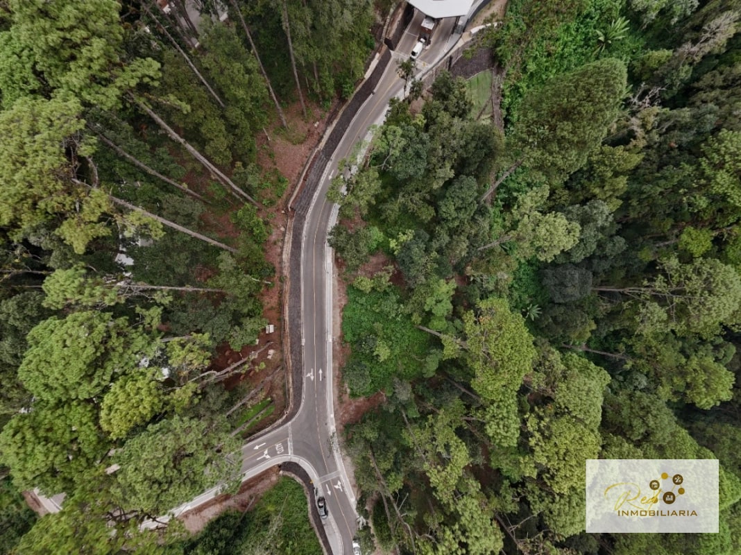 VENTA DE TERRENO PREMIUM LUCENTA DENTRO DE LEGADO DEL BOSQUE - 8