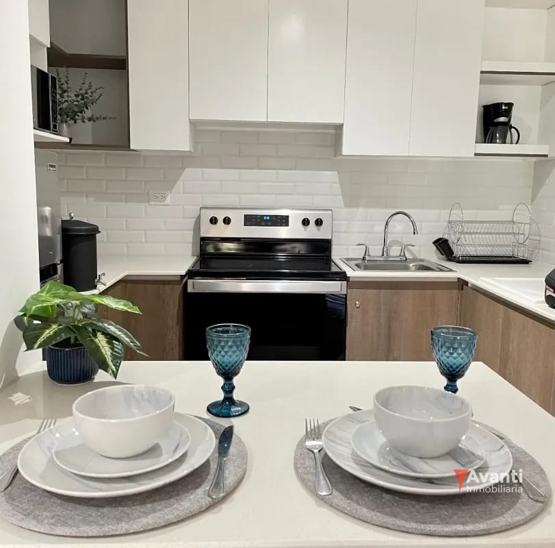 VENTA APARTAMENTO ZONA 14, AMUEBLADO — Apartamento en Venta en Zona 14, Guatemala, Ciudad — foto 16 de 17