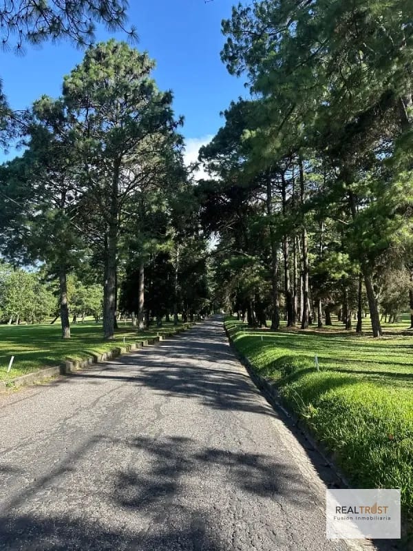 Precioso terreno plano Country Club Guatemala zona 11 — Terreno en Venta en Zona 11, Guatemala, Ciudad — foto 2 de 8
