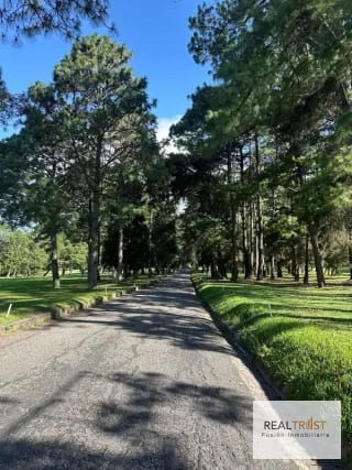 Precioso terreno plano Country Club Guatemala zona 11 — Terreno en Venta en Zona 11, Guatemala, Ciudad — miniatura 2 de 8
