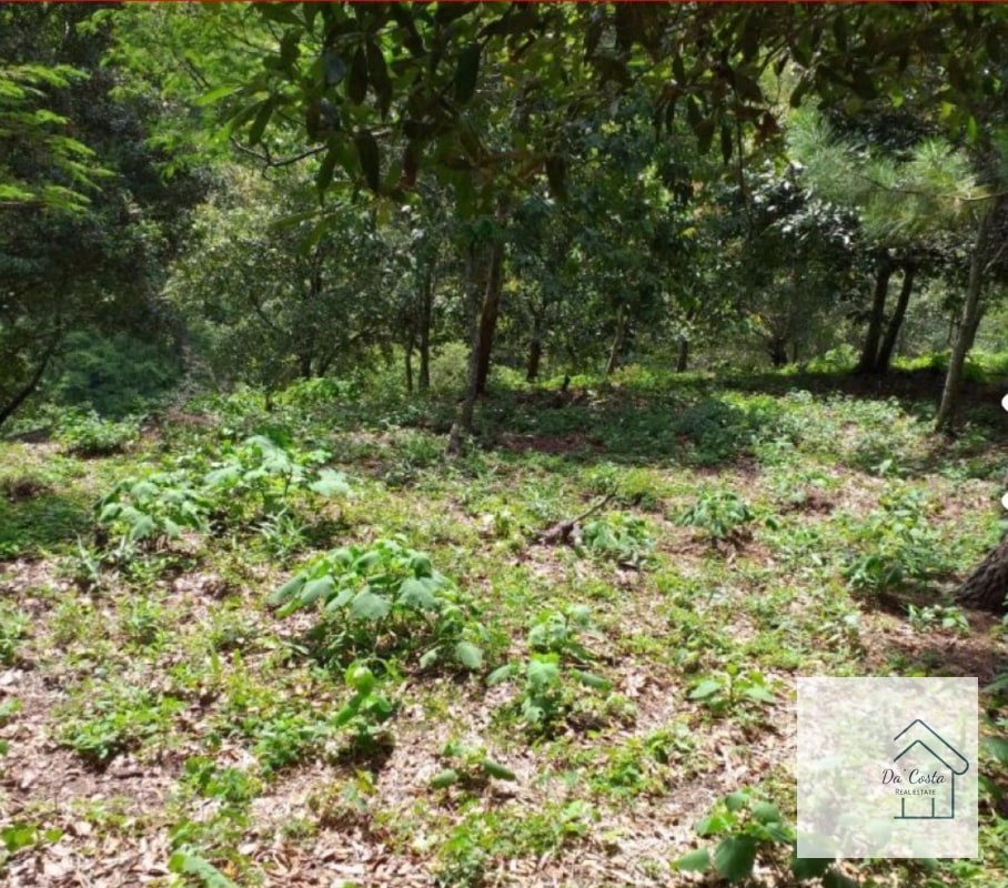 Terreno en Venta Acacias de Cayala - 4
