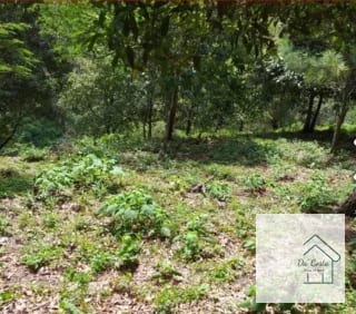 Terreno en Venta Acacias de Cayala — Terreno en Venta en Acacias de Cayalá, Zona 16, Guatemala, Ciudad — miniatura 1 de 4