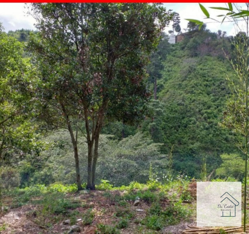 Terreno en Venta Acacias de Cayala - 3