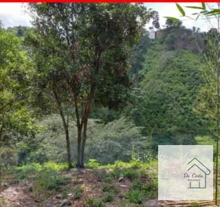 Terreno en Venta Acacias de Cayala — Terreno en Venta en Acacias de Cayalá, Zona 16, Guatemala, Ciudad — miniatura 4 de 4