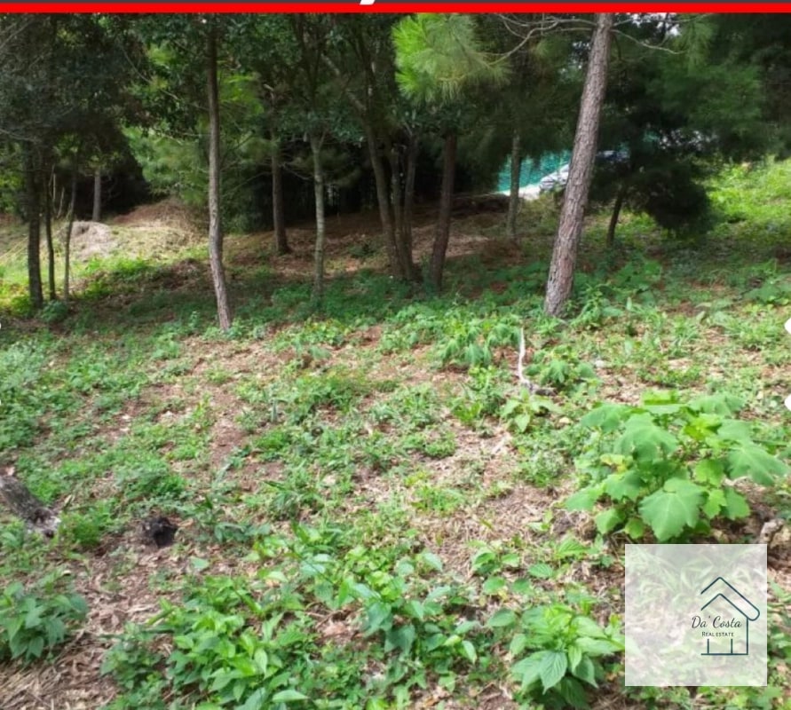 Terreno en Venta Acacias de Cayala - 2