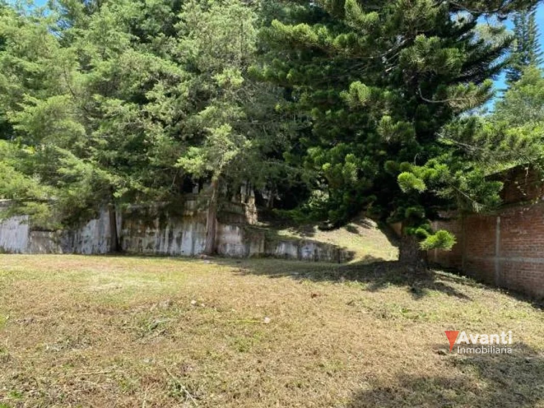 VENTA TERRENO CARRETERA A EL SALVADOR, KM.9 - 3