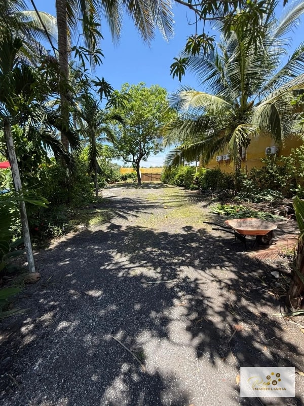 🌴 Hotel & Restaurante Atelie del Mar – Oportunidad de Inversión en Monterrico, Guatemala - 14