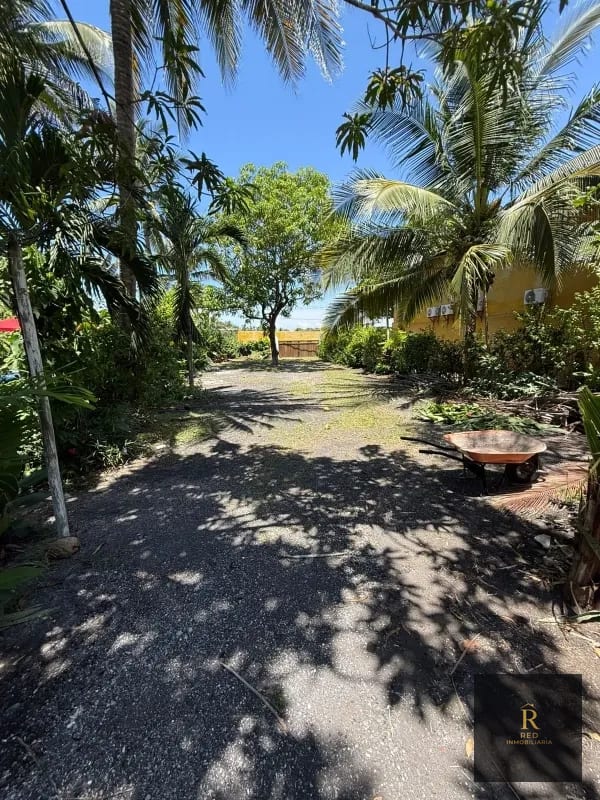 🌴 Hotel & Restaurante Atelie del Mar – Oportunidad de Inversión en Monterrico, Guatemala — Casa vacacional en Venta en Monterrico, Santa Rosa — foto 15 de 17