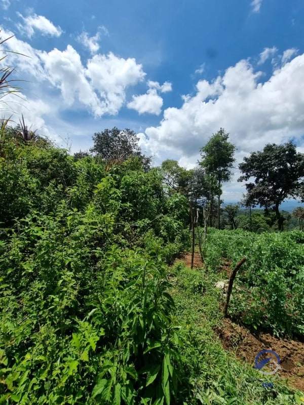 Terreno en Venta en Finca Los Manzanales, Santiago Sacatepéquez, Sacatepéquez - 6