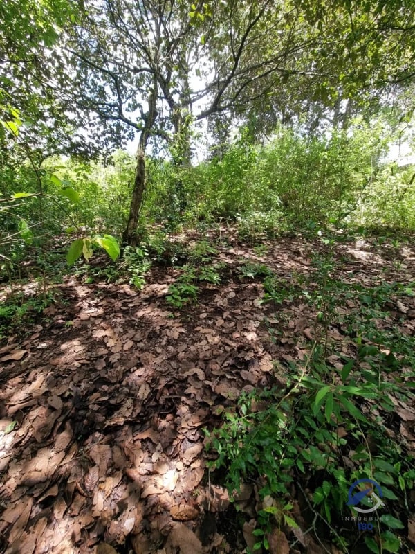 Terreno en Venta en Finca Los Manzanales, Santiago Sacatepéquez, Sacatepéquez - 5