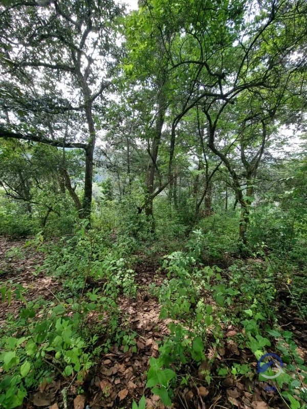 Terreno en Venta en Finca Los Manzanales, Santiago Sacatepéquez, Sacatepéquez - 4
