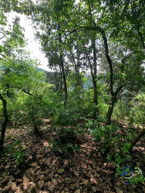 Terreno en Venta en Finca Los Manzanales, Santiago Sacatepéquez, Sacatepéquez - 3