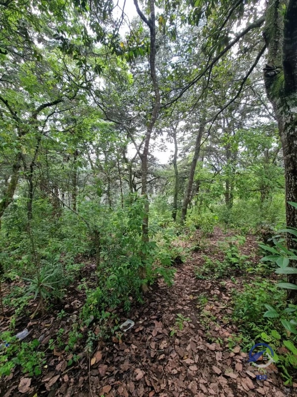 Terreno en Venta en Finca Los Manzanales, Santiago Sacatepéquez, Sacatepéquez - 2