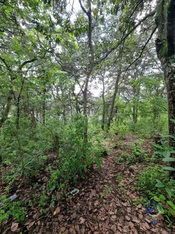 Terreno en Venta en Finca Los Manzanales, Santiago Sacatepéquez, Sacatepéquez — Terreno en Venta en Santiago Sacatepéquez, Sacatepéquez — foto 3 de 7