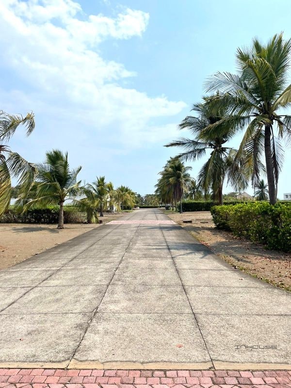 TERRENO EN VENTA KM 13.5 MONTERRICO - 6