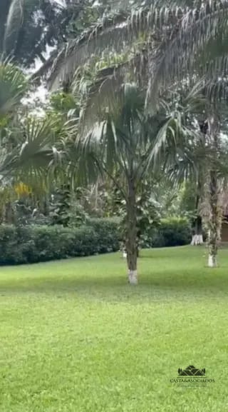 CASA EN VENTA RÍO DULCE — Casa en Venta en Río dulce, Izabal — miniatura 3 de 8