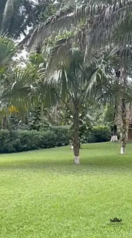 CASA EN VENTA RÍO DULCE — Casa en Venta en Río dulce, Izabal — foto 3 de 8